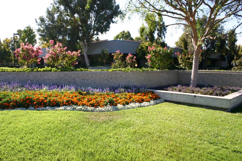 Business Landscape Design in Ventura County, CA