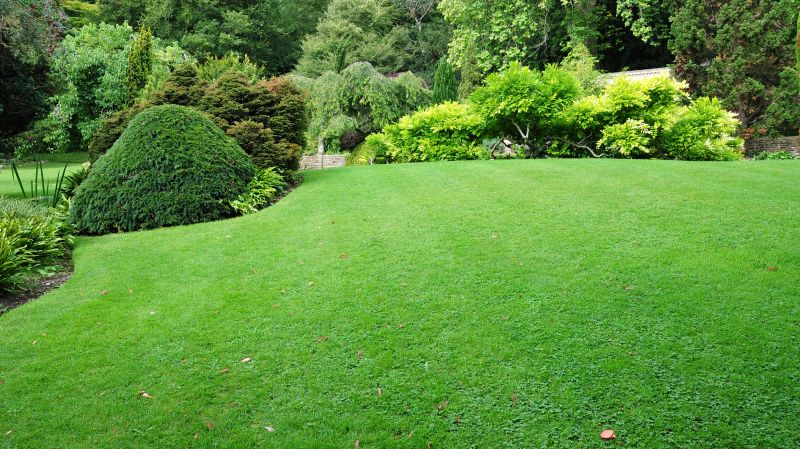 Beautiful Lawn