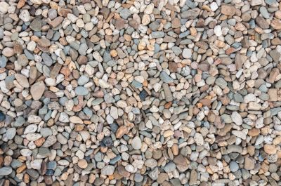 Helps with erosion control
